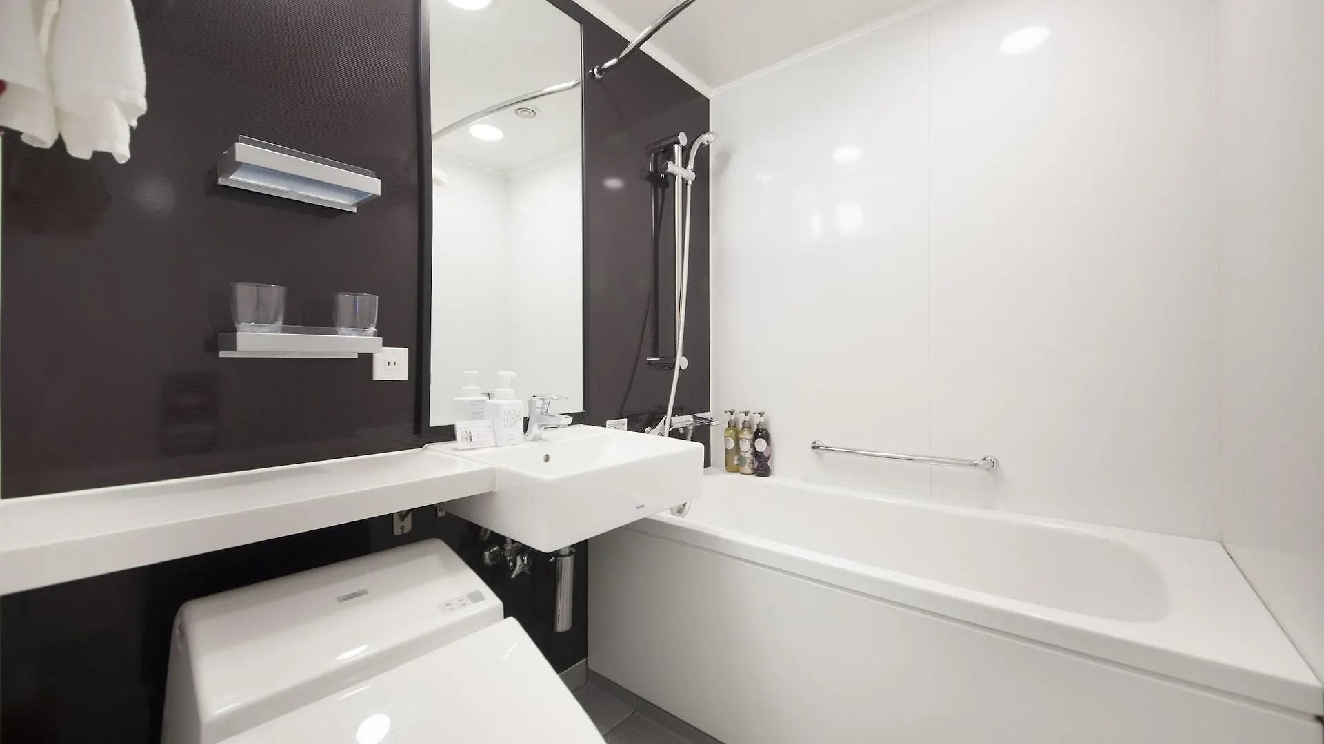 Richmond Hotel Tokyo Suidobashi 3*,